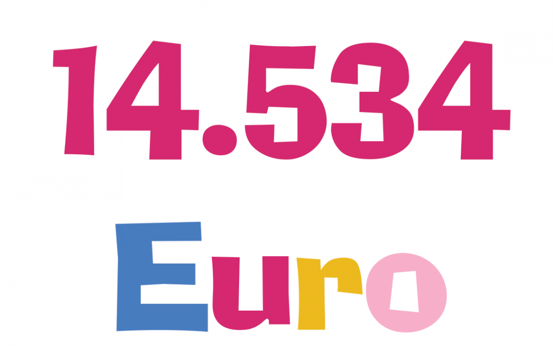 Ecco l’esito della raccolta fondi